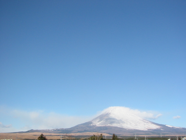 休日の風景　日曜日編_e0007211_14432650.jpg