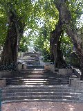e0087913_1834884.jpg