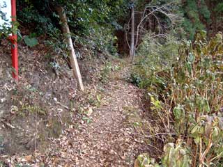a0054016_21205295.jpg