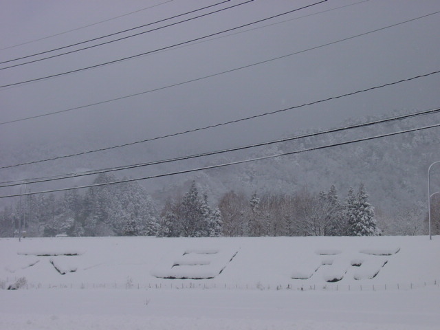 大雪～～！_d0025421_82550100.jpg