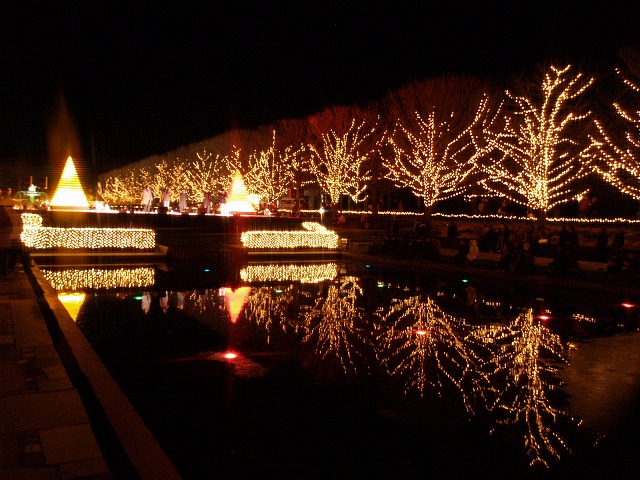 Illumination 　　－Showa Ｋｉｎｅｎ Parkー_c0003830_23331817.jpg