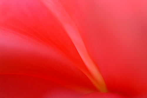 a0053732_20132973.jpg