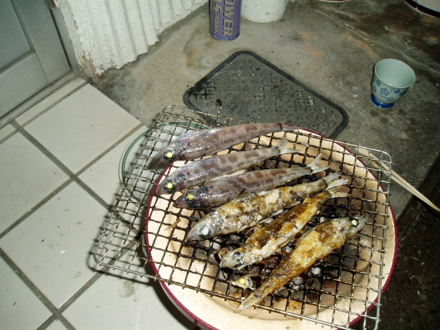 メヒカリの刺身をゲット そして塩焼きも Cafe Cream モノ語り