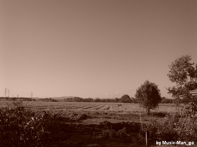 e0027536_024997.jpg