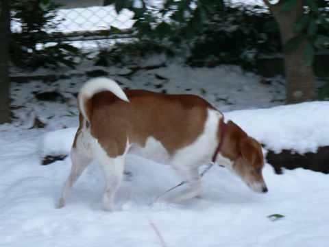 e0060041_1393669.jpg