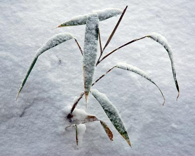 e0035757_18292646.jpg
