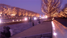 b0065067_1523388.gif