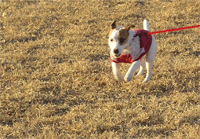 b0065067_2284214.gif