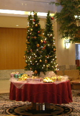 a0042295_22271343.jpg