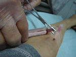 b0043506_1919426.gif