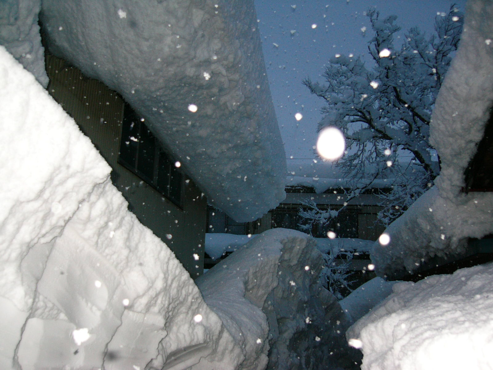 雪降れば～胃が痛し～！_f0023916_21263971.jpg