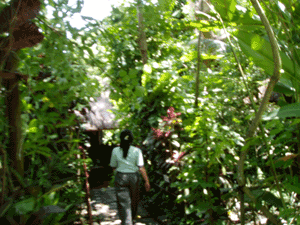 d0038319_9533324.gif