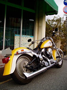 d0030521_10332259.jpg