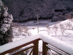 c0009224_65204.jpg