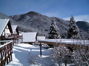 c0009224_6525335.jpg