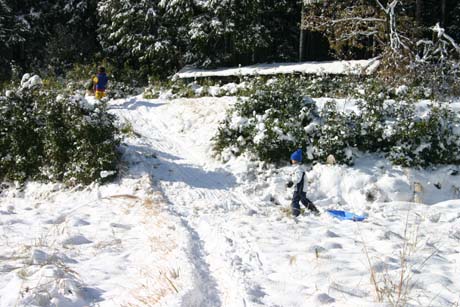 大原大雪_e0074935_1329141.jpg