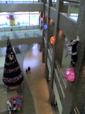 e0089238_1755430.jpg
