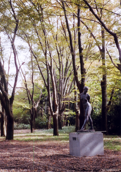 PENで撮った秋の植物園_a0020340_812331.jpg