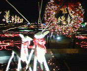 a0063050_05274.jpg