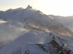 a0044453_21522245.gif