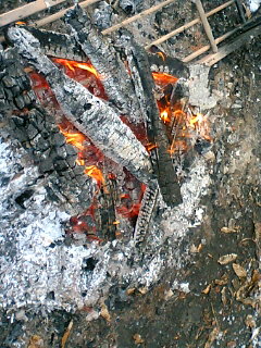 a0057654_092768.jpg