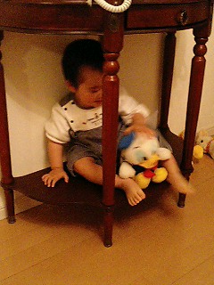 d0001854_123179.jpg