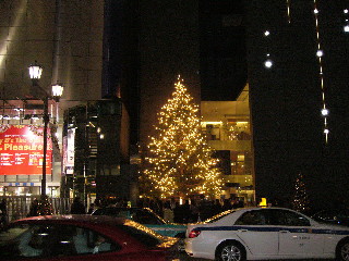 夜のクリスマスツリー_b0029256_23451885.jpg