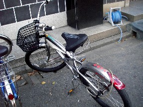 c0047856_961436.jpg