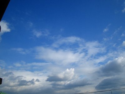d0012167_1352443.jpg
