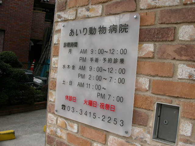 月曜午後は予約診療です。_c0049870_8264044.jpg