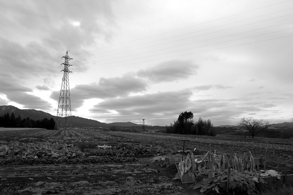 c0054876_6371552.jpg
