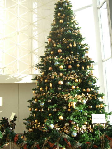 c0075585_162072.jpg