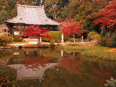 紅葉　長岳寺_f0015186_1824349.jpg