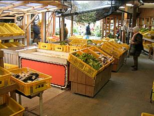 c0037794_2292422.jpg