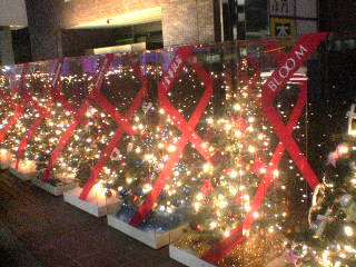 Tokyo Christmas \'05　-aoyama-_d0029198_22214828.jpg