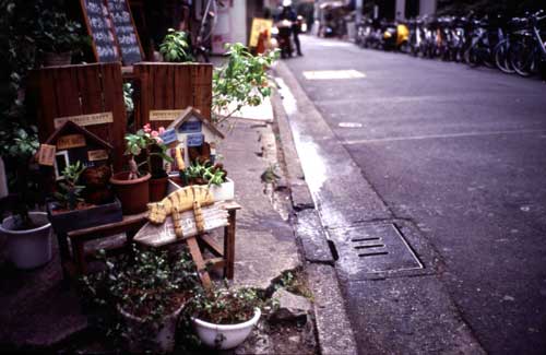 a0051400_229229.jpg