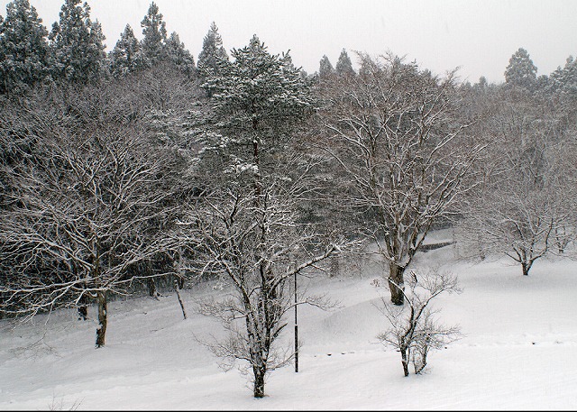 e0039703_0125523.jpg
