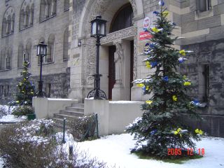 e0039206_4491189.jpg