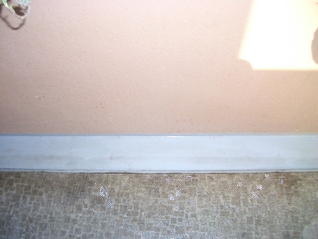 e0094407_20583546.jpg