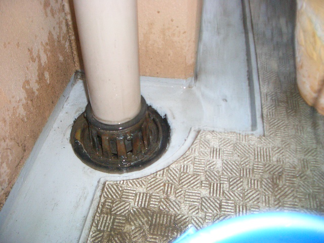 e0094407_20595851.jpg