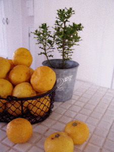 e0045709_22524950.jpg