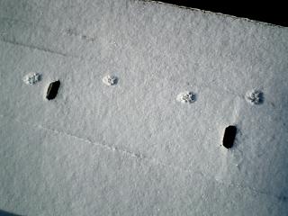 b0023911_19463534.jpg