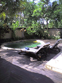 d0038319_9225372.gif