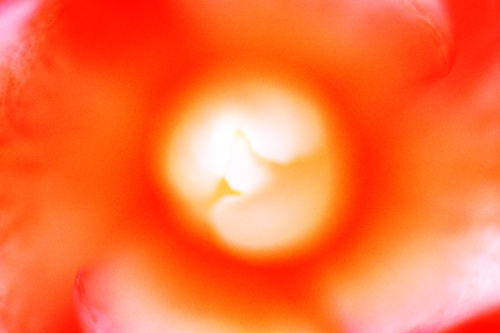 a0053732_2144832.jpg