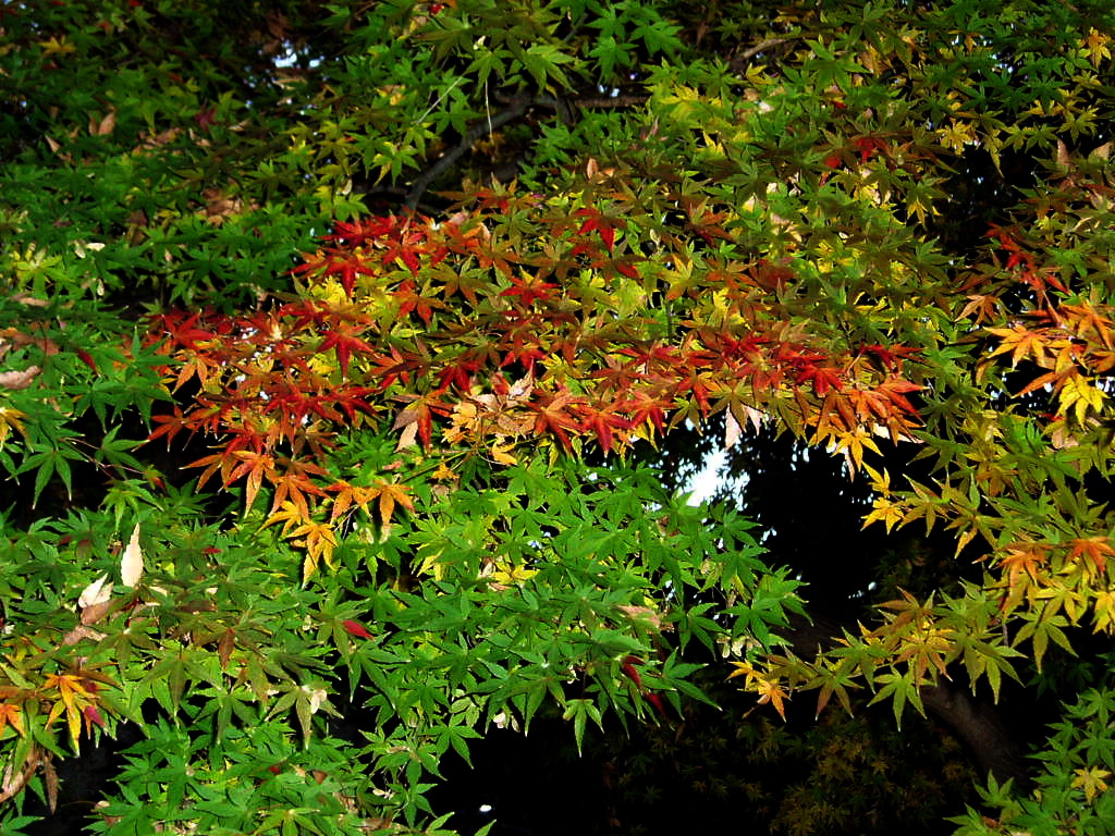e0064158_01035.jpg