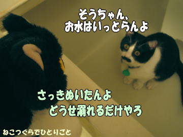 b0041182_9163485.jpg