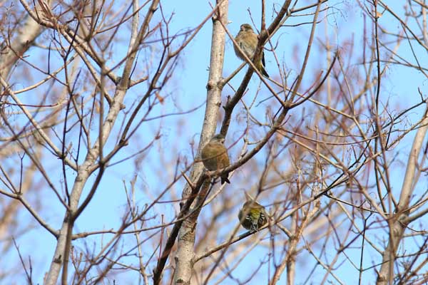 南公園の続き〜！_a0047700_212572.jpg