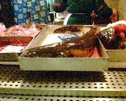 f0021504_23284585.jpg