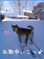 c0060620_7144655.jpg