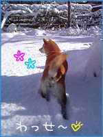 c0060620_773265.jpg